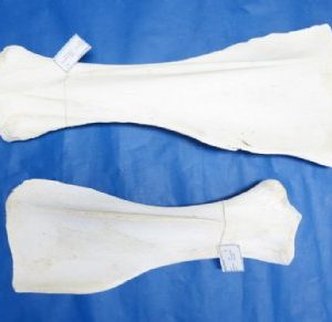 African giraffe shoulder blades 21 to 28 inches - $40 each; 4 pcs @ $36 each